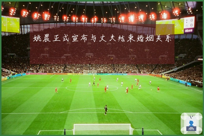 姚晨正式宣布与丈夫结束婚姻关系